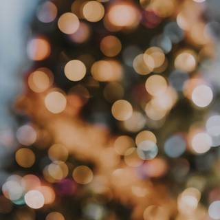 Preppy brown winter wallpaper