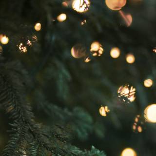 Christmas iPhone 14 Pro Max wallpaper