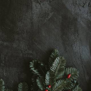 Christmas iPhone 14 Pro Max wallpaper