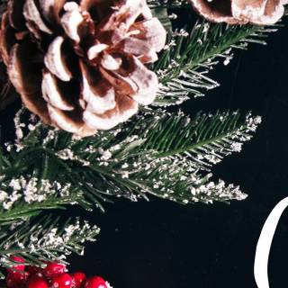 Christmas iPhone 14 Pro Max wallpaper