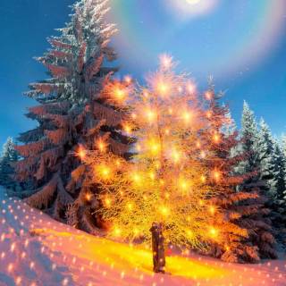 Christmas iPhone 14 Pro Max wallpaper