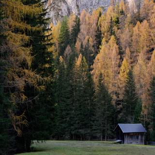 4k cabin autumn wallpaper