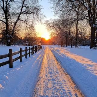 Winter season wallpaper