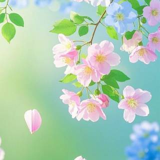 Spring flower phone wallpaper