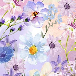 Spring flower phone wallpaper