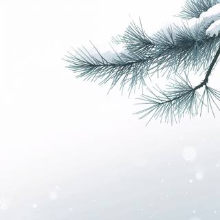 Simple winter iPhone wallpaper