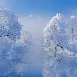 Winter 4k laptop wallpaper