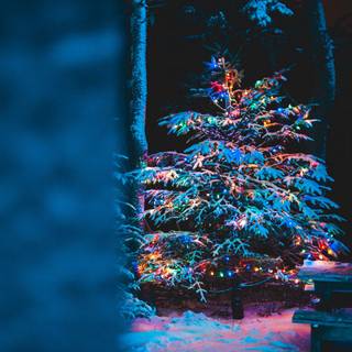 New Year 1280x1024 wallpaper