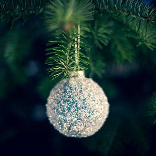 New Year 1280x1024 wallpaper