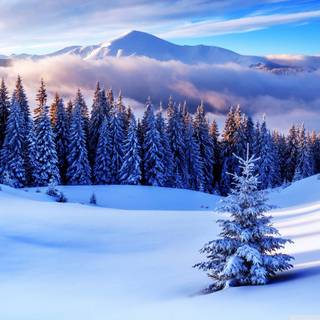 Blue winter laptop wallpaper