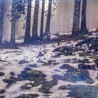 Simple winter iPhone wallpaper