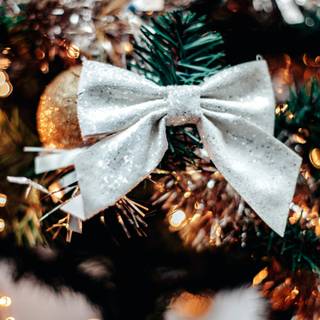 Christmas trees and bows wallpaper
