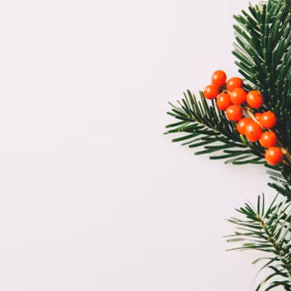 Simple Christmas trees wallpaper