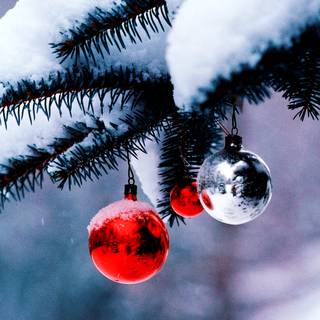 Christmas snow trees wallpaper