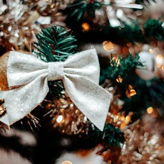 Christmas trees and bows wallpaper
