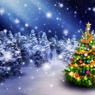 1920x1080 Christmas tree winter wallpaper