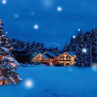 1920x1080 Christmas tree winter wallpaper