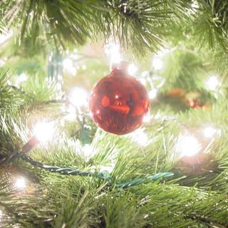 1920x1080 Christmas tree winter wallpaper