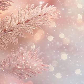 Cozy winter pink wallpaper