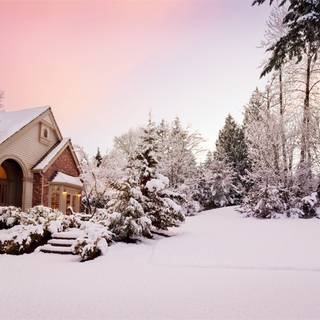 Cozy winter pink wallpaper
