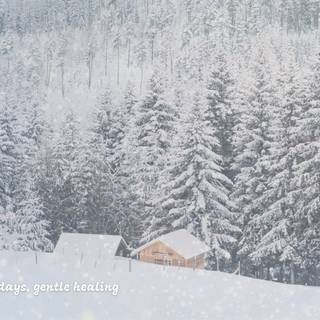 Chill winter PC wallpaper