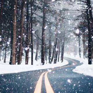 Winter road iPhone wallpaper