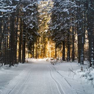 Winter road iPhone wallpaper