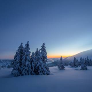 Chill winter PC wallpaper