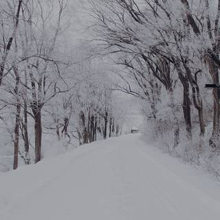 Winter road iPhone wallpaper