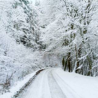 Winter road iPhone wallpaper