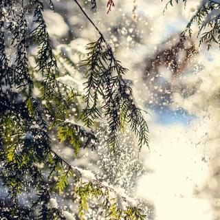 Xmas winter iPhone wallpaper