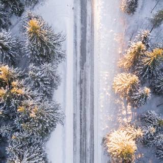 Winter road iPhone wallpaper