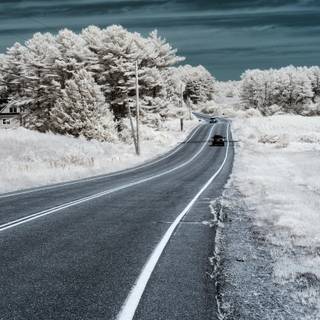 Winter road iPhone wallpaper