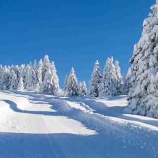 Winter road iPhone wallpaper