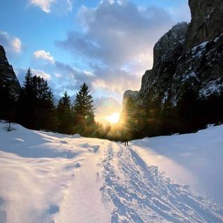 Winter road iPhone wallpaper