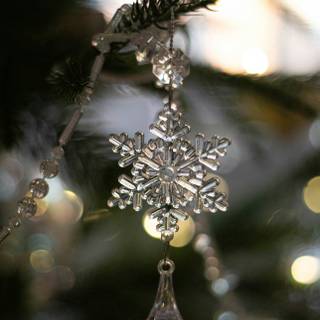 Xmas winter iPhone wallpaper