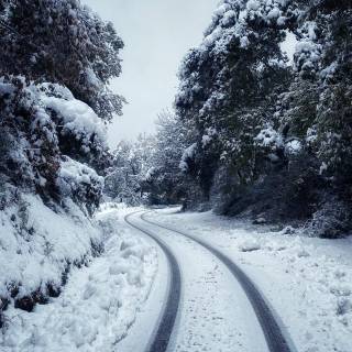 Winter road iPhone wallpaper