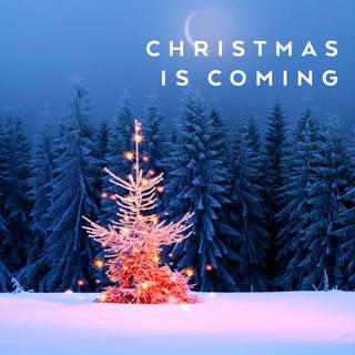 Christmas coming soon wallpaper