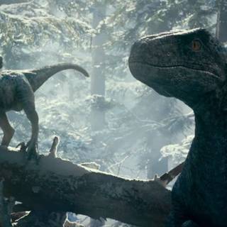 Blue dino Jurassic world wallpaper