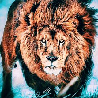 Magical spirit lion wallpaper