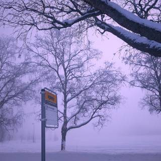 Winter bus stop wallpaper