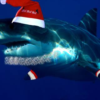 Santa Jaws wallpaper