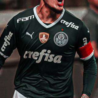 Gustavo Gómez wallpaper