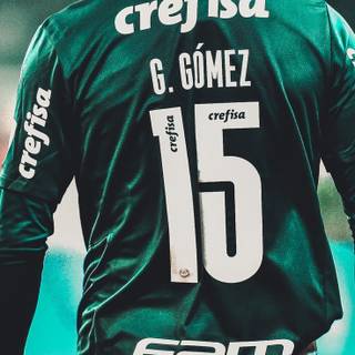 Gustavo Gómez wallpaper