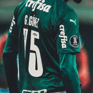 Gustavo Gómez wallpaper