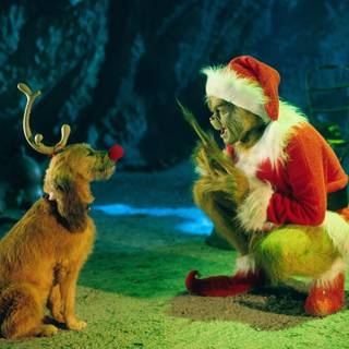 Max from Grinch wallpaper