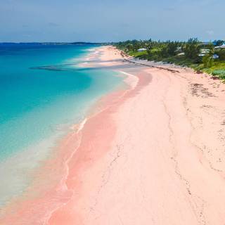 Pink sand beach wallpaper