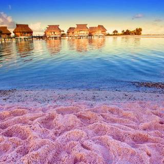 Pink sand beach wallpaper
