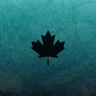 R6 Black Ice wallpaper