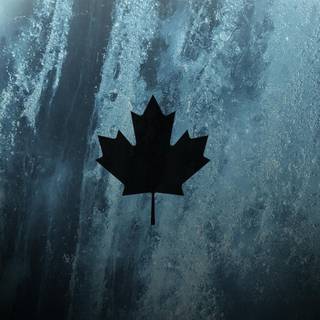 R6 Black Ice wallpaper